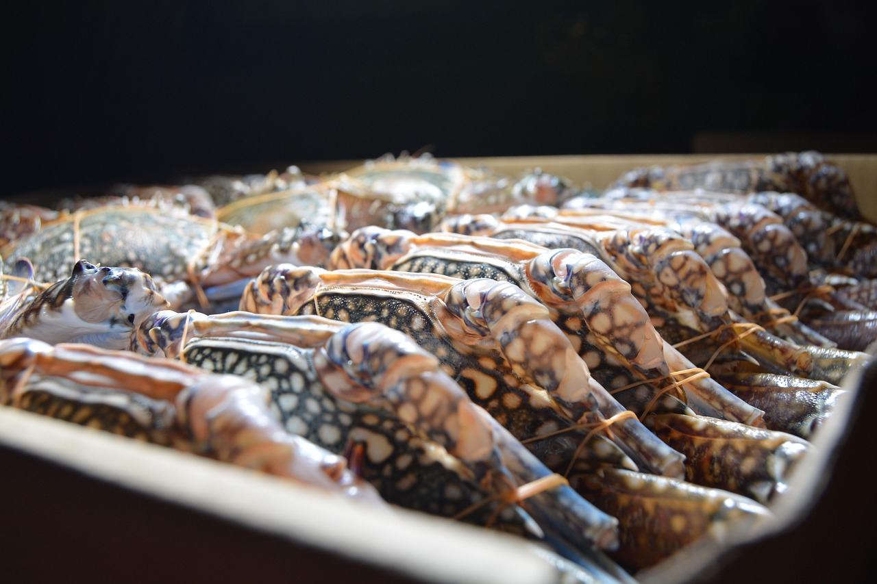 カニの通販で冷凍したものはいつ食べるのがベスト？