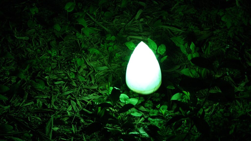 かに本舗と北国、山本屋の違いは何ですか？