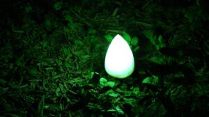 かに本舗と北国、山本屋の違いは何ですか？