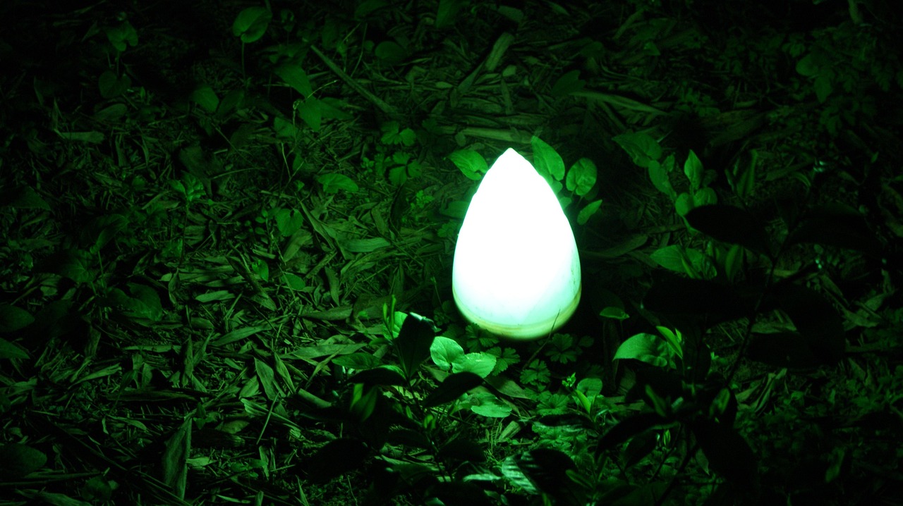 かに本舗と北国、山本屋の違いは何ですか？