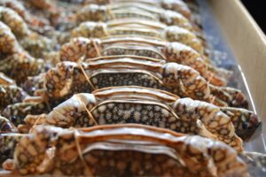 カニの缶詰と冷凍の使い道はどちらが便利？