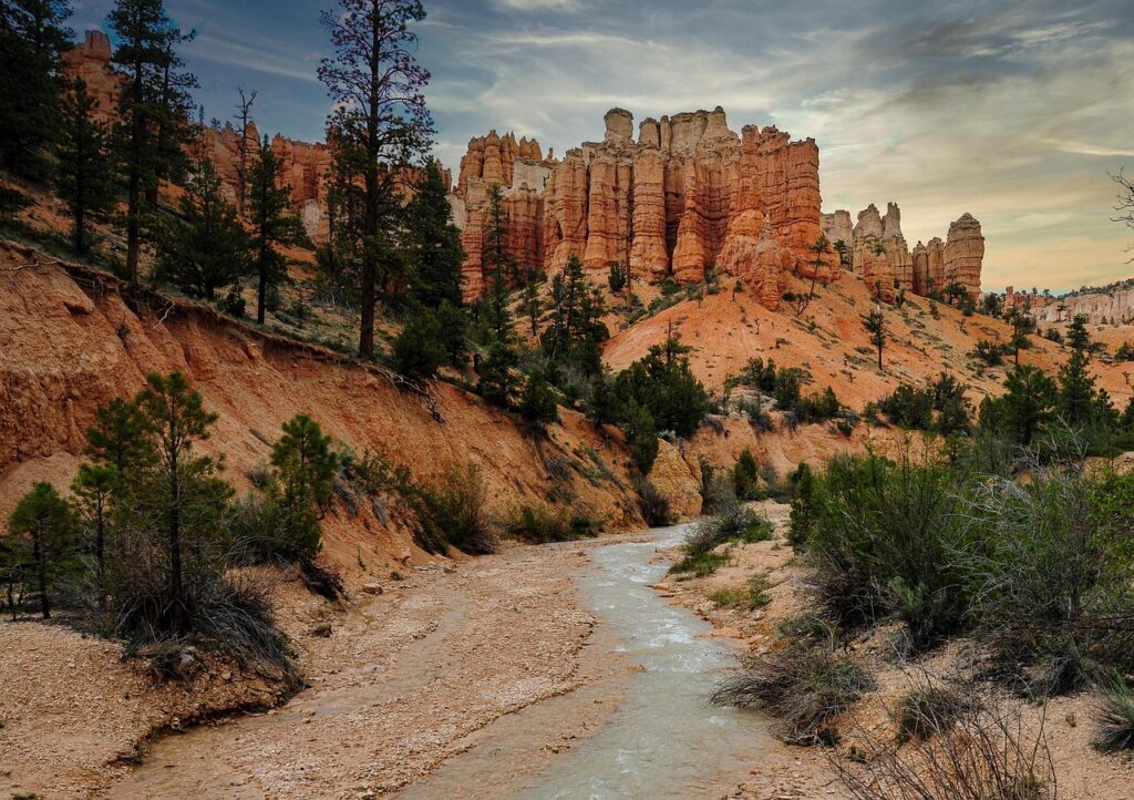 タラバガニとズワイガニの比較で知っておきたい違いは？