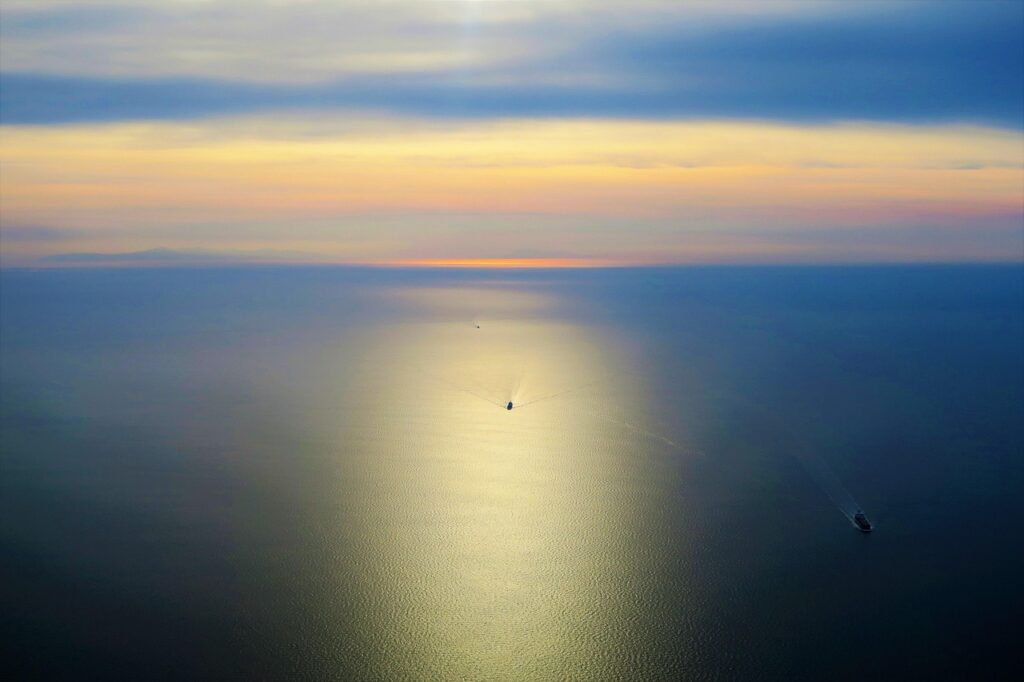 冷凍と生カニの通販、どちらを選ぶべきか？