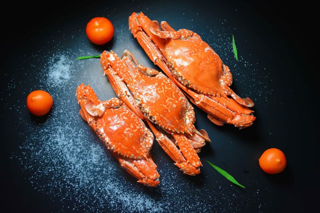 カニ通販で今すぐ冷凍できるおすすめ商品は？