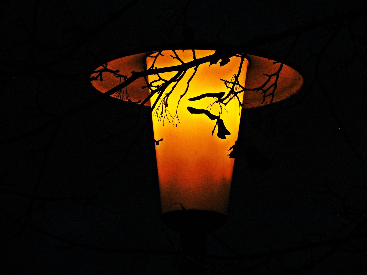 ボイルズワイガニの解凍方法を通販で手軽に楽しむには？