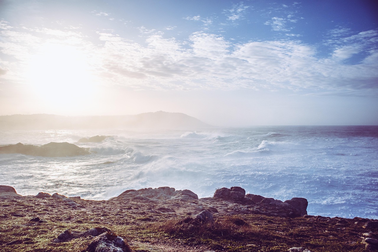 毛ガニ通販でミソが多い商品はどれがおすすめ？