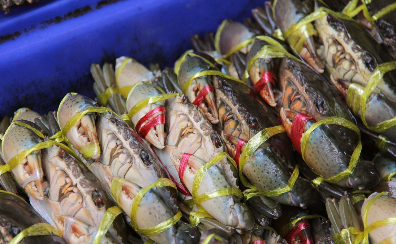 カニ通販でホームパーティーを盛り上げるおすすめ商品は？