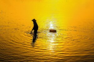 毛ガニ通販の選び方で失敗しないためのポイントは？