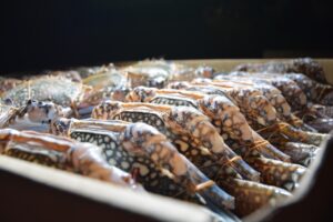 カニ通販で冷凍しても味が落ちない秘訣は？