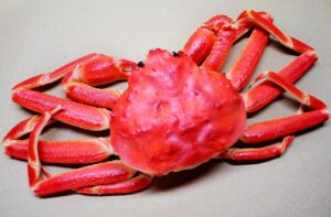 ズワイガニの通販でボイルを選ぶなら、おすすめはどれ？