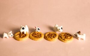 カニ通販で食べやすいむき身はどれを選べばいい？